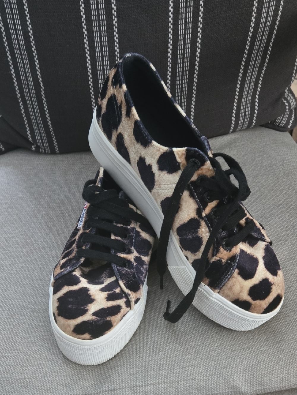 Superga Leopard Print Velvet Sneakers in Black and Tan
